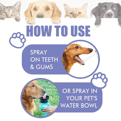 LOVILDS™ 🍃No-Brushing Oral Care Spray for Dogs & Cats
