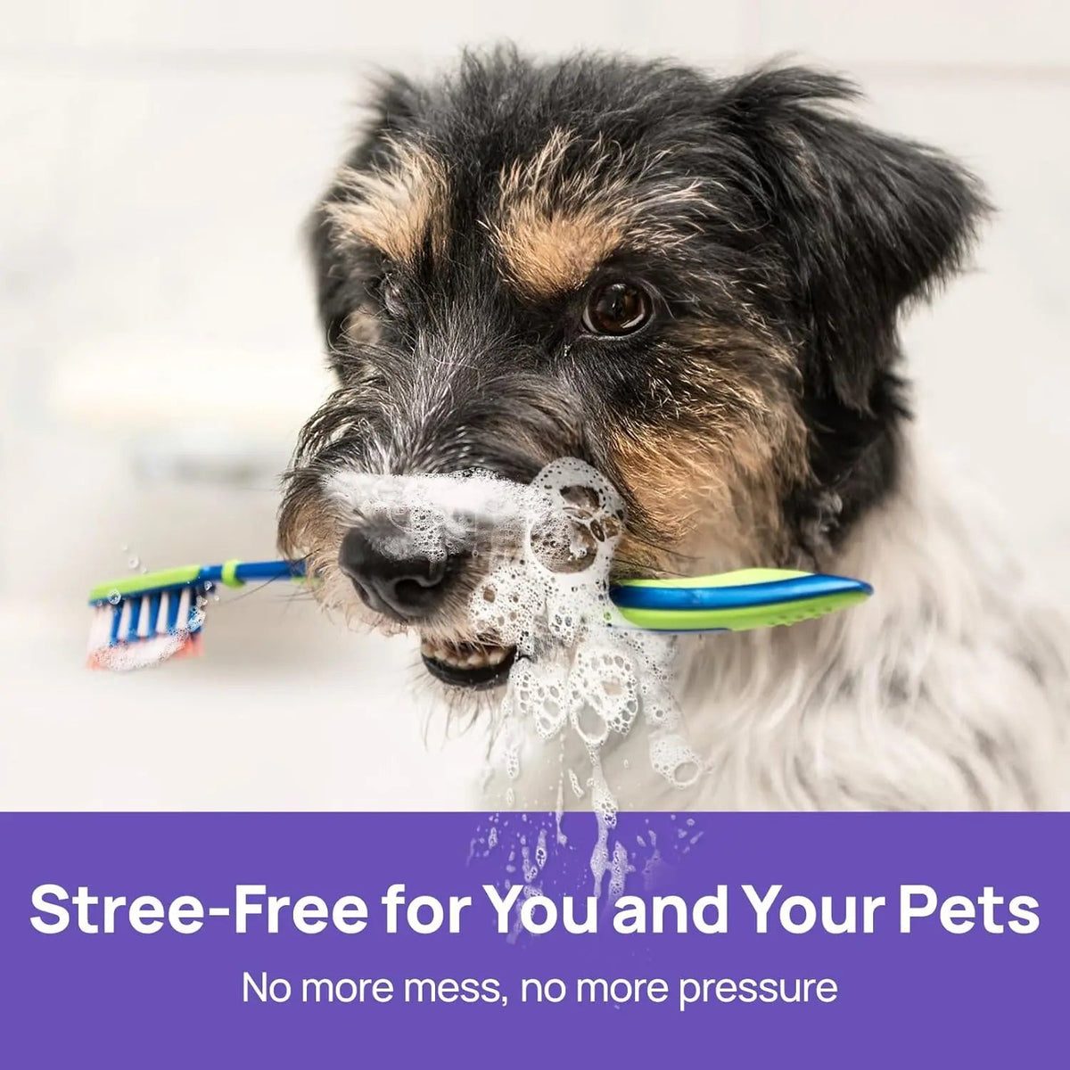 LOVILDS™ 🍃No-Brushing Oral Care Spray for Dogs & Cats